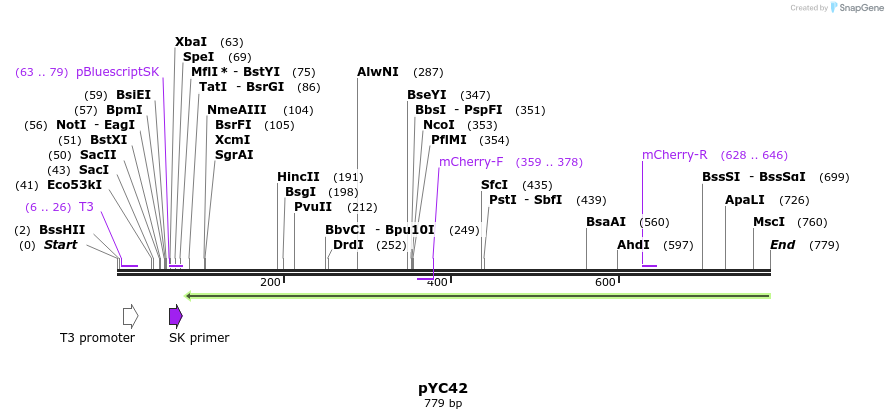 110458_map
