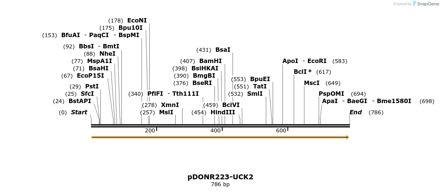 11046_map