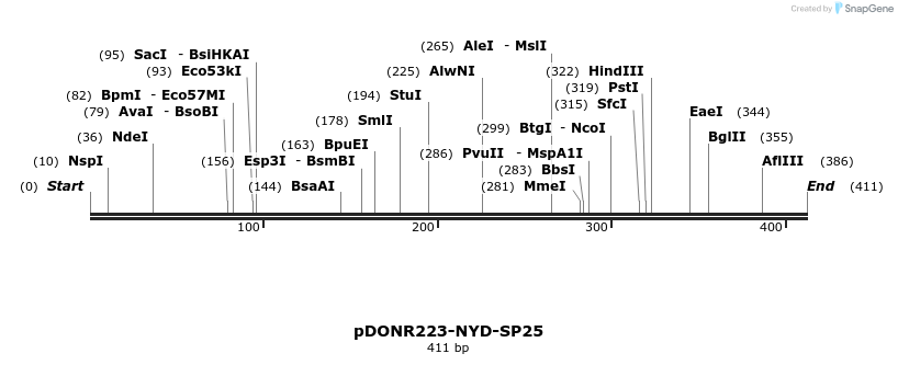 11047_map