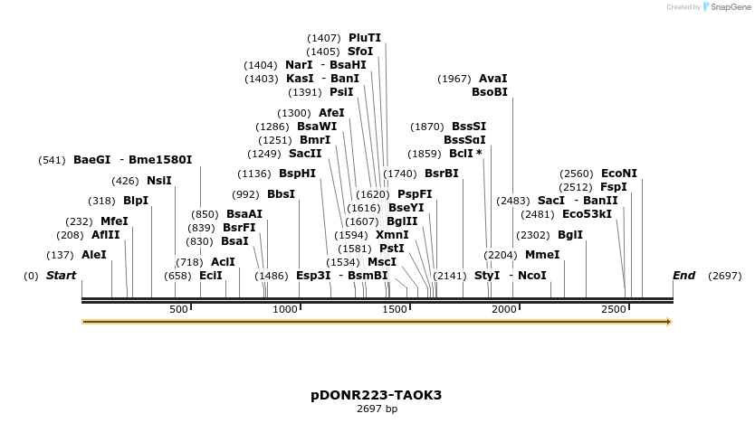 11048_map