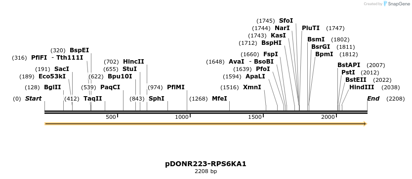 11049_map