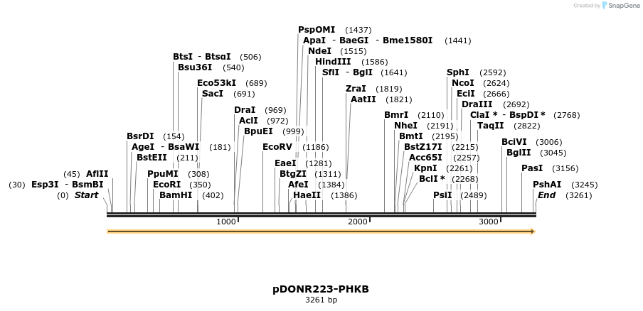 11050_map