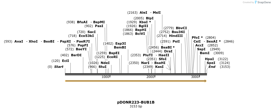 11051_map
