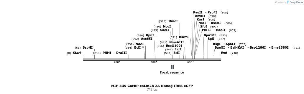 110529_map