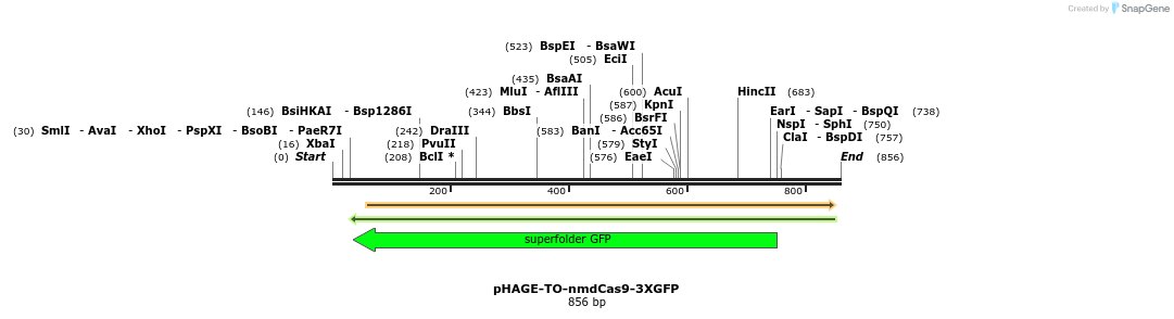 110531_map