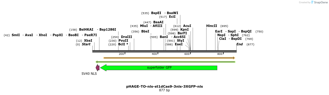 110536_map