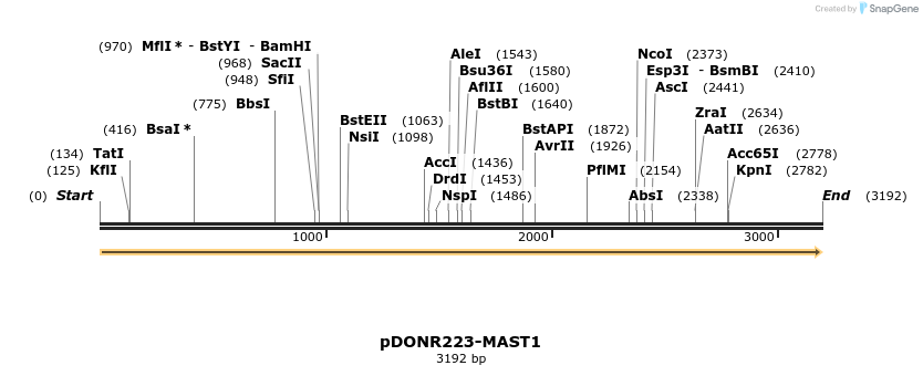 11054_map