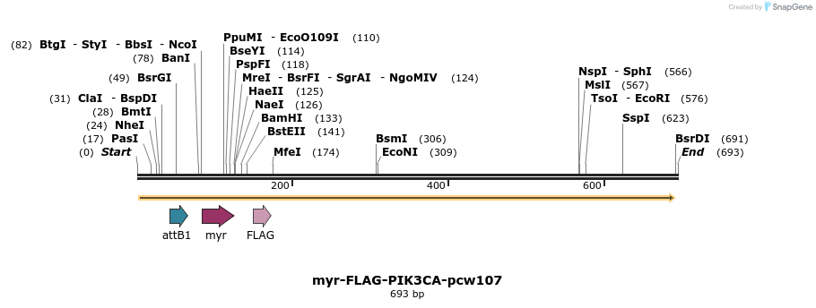 110545_map