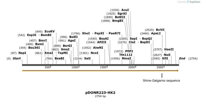 11055_map