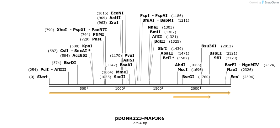 11056_map