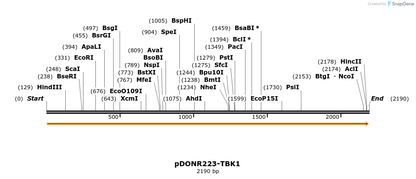 11058_map