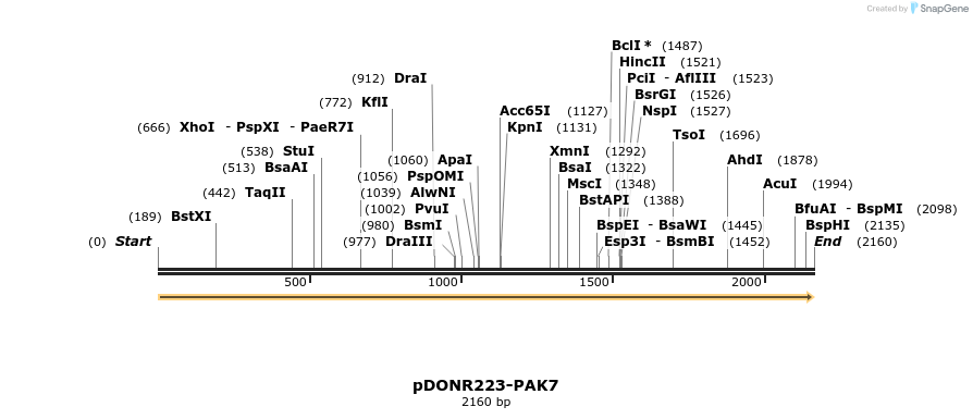 11059_map