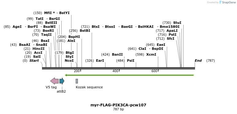 110599_map