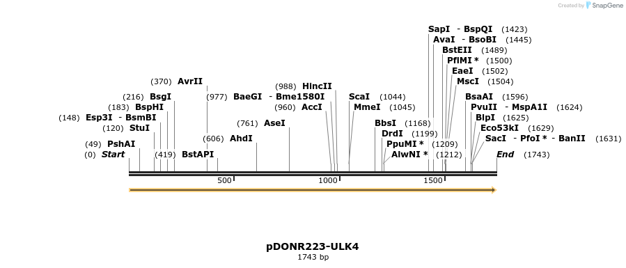 11060_map