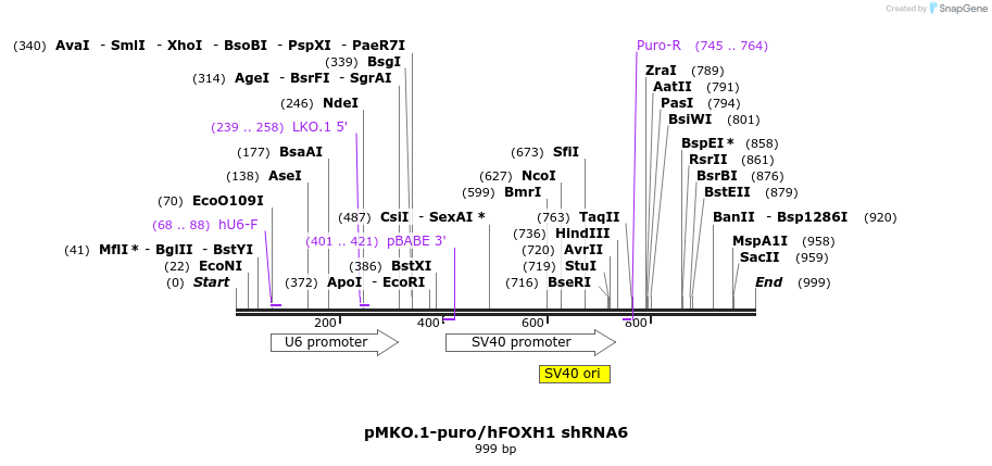 110600_map