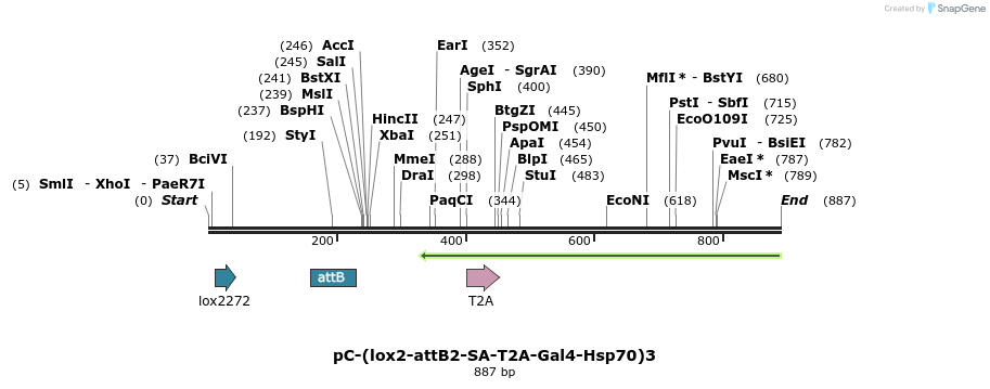 110605_map