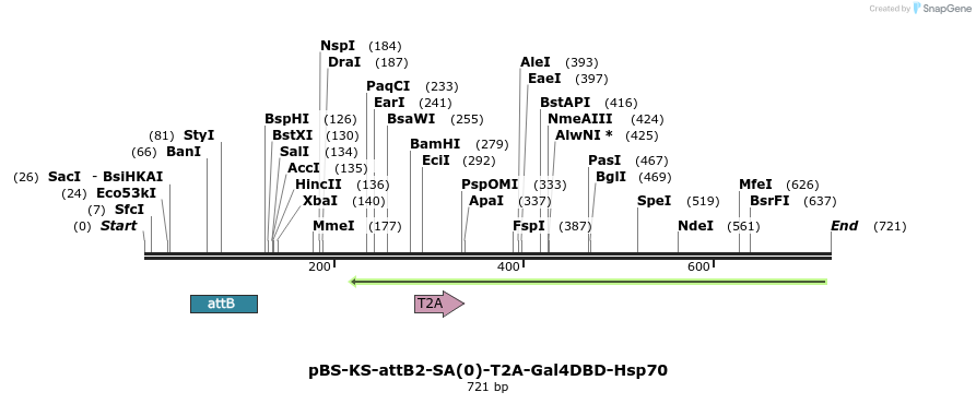 110608_map