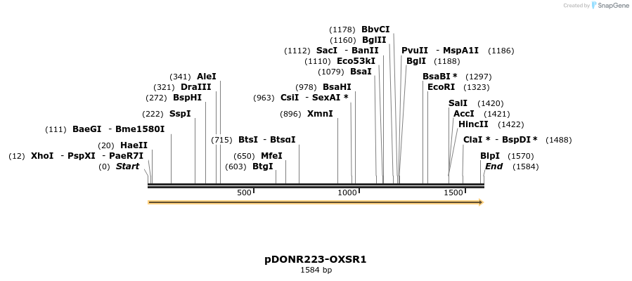 11062_map