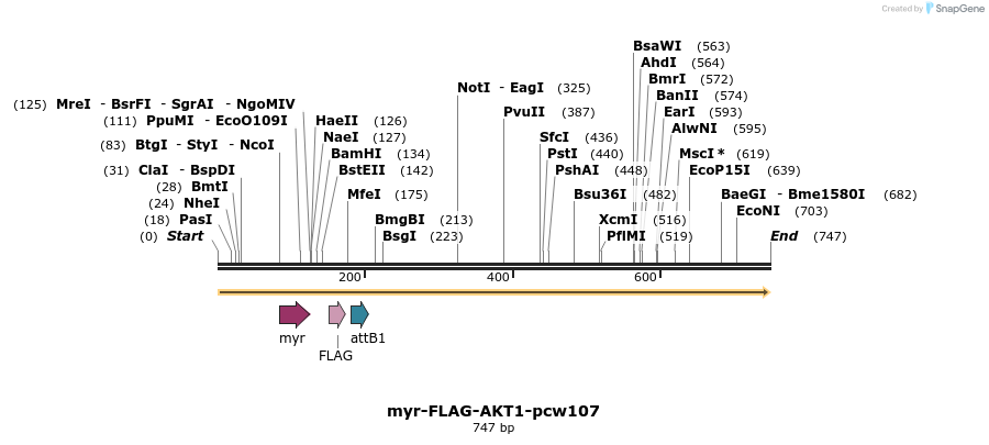110622_map