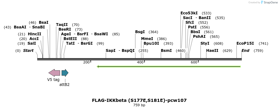 110634_map