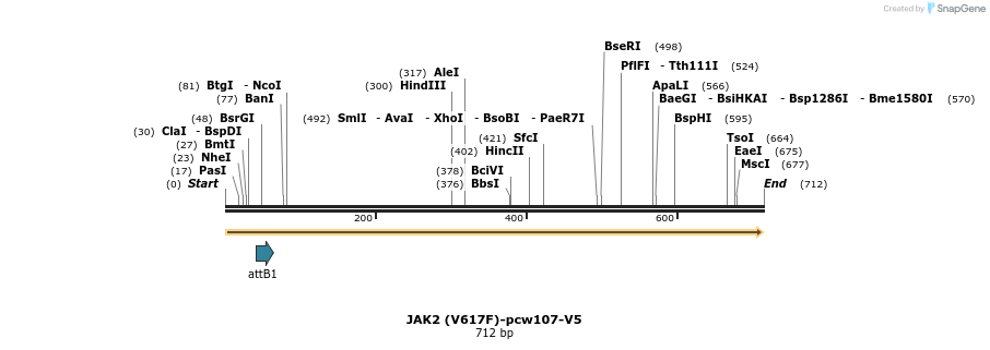 110635_map