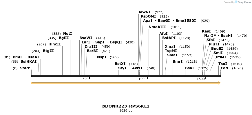 11067_map