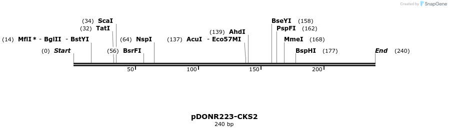 11068_map