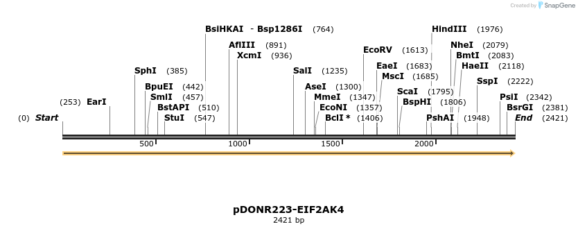 11069_map