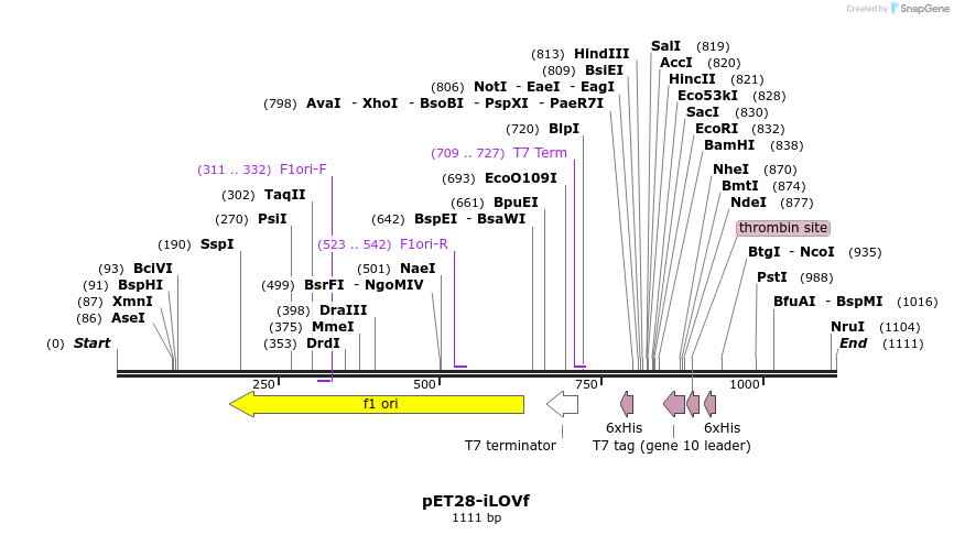 110701_map