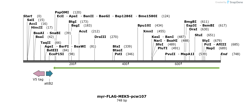 110702_map