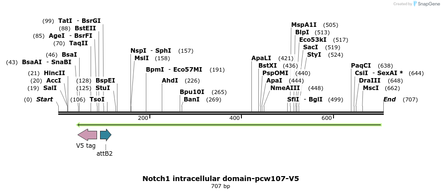 110706_map