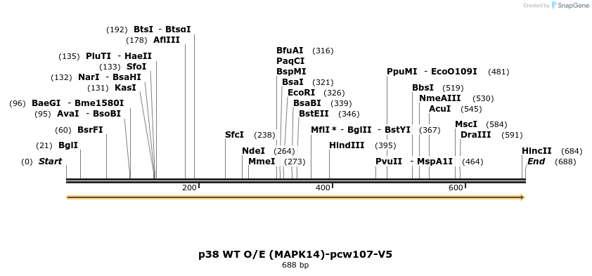 110710_map
