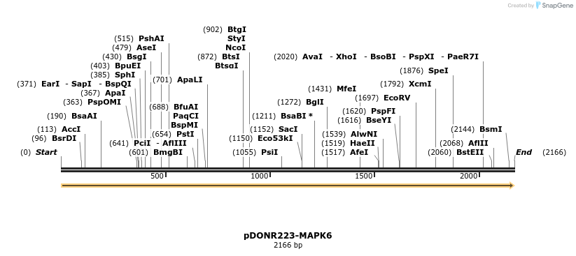 11073_map