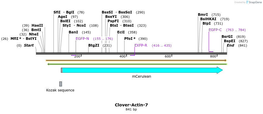 110730_map