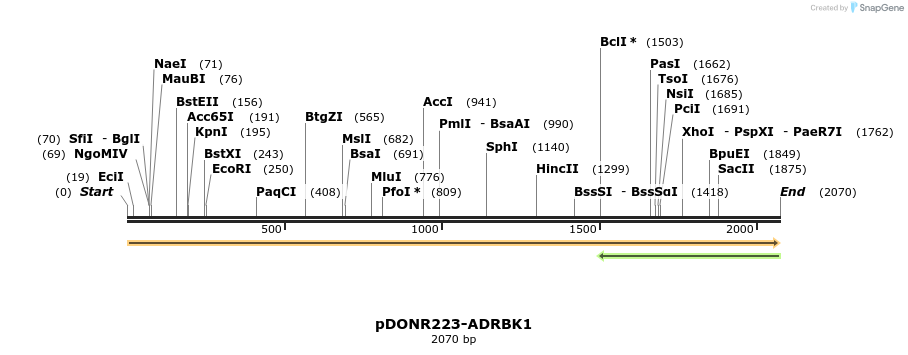 11074_map