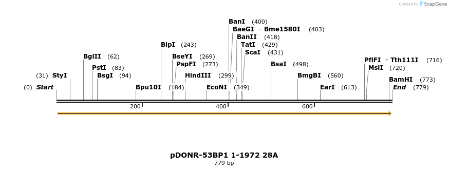 110742_map