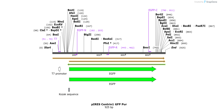 110743_map