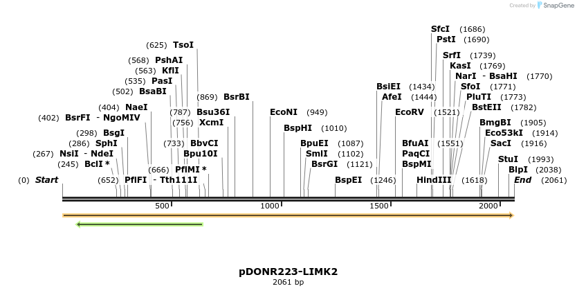 11075_map