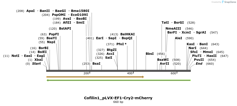110752_map