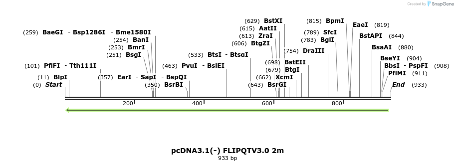 110755_map