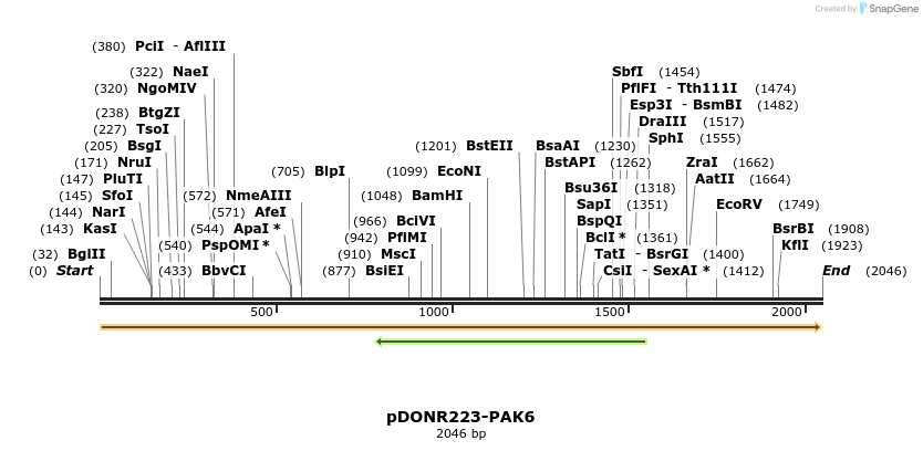 11076_map