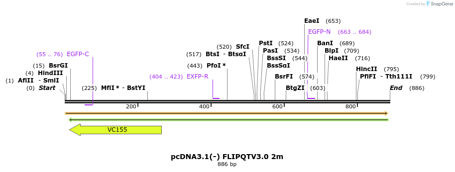 110761_map