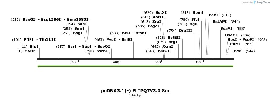 110766_map