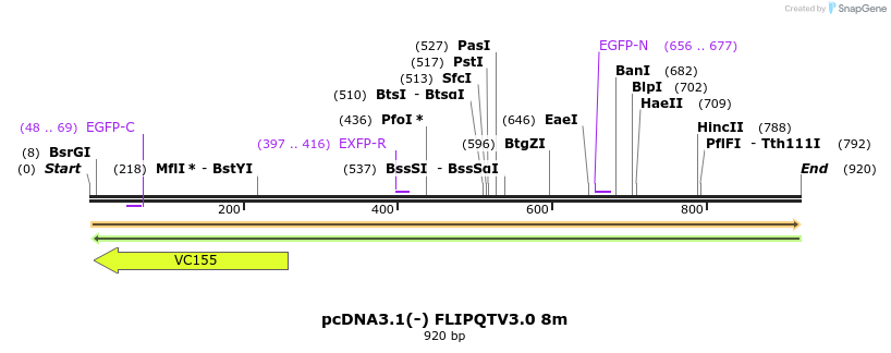 110768_map