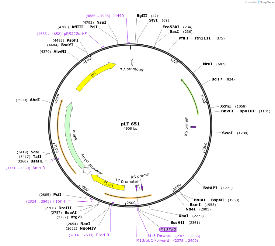 59998-plasmid-map-sequence-id-110771