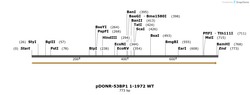 110772_map