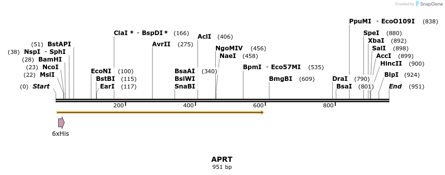 110773_map