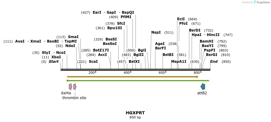 110774_map