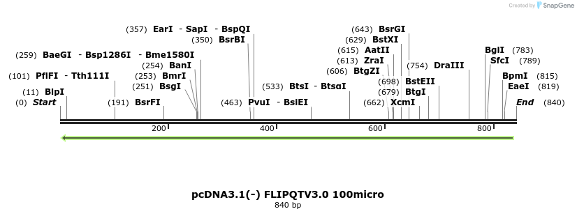 110783_map