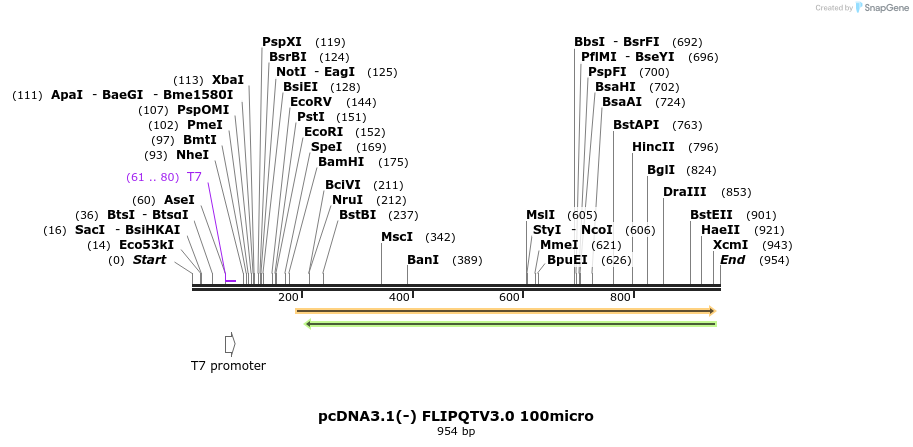 110785_map